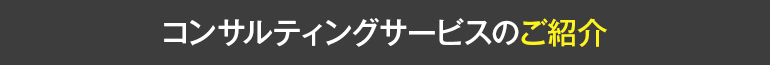 海外安全・医療対策コンサルティングサービスのご紹介